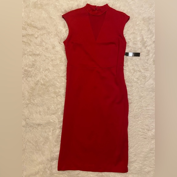 New York & Company Dresses & Skirts - NEW YORK & COMPANY Mock Neck Mesh Midi Dress